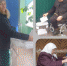 Голосование на УИК № 467 в р.п. Земетчино подходит к концу - Земетчинский район