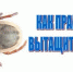 Как извлечь клеща и куда с ним обратиться? - Земетчинский район