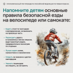 Весна в радость: как защитить ребенка от неприятных ситуаций