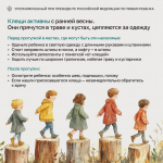 Весна в радость: как защитить ребенка от неприятных ситуаций