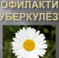 Что такое туберкулёз и меры его профилактики - Земетчинский район
