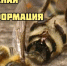 В Земетчинском районе действует комиссия по расследованию гибели пчелосемей - Земетчинский район